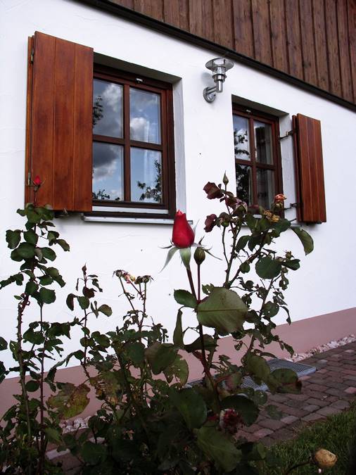 Rhönferienhaus Link - Rose